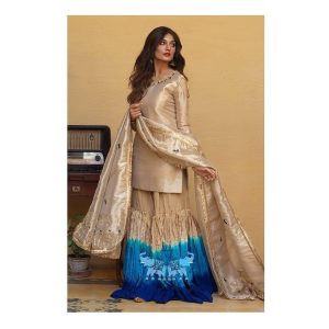 Mesuri shirt and gharara