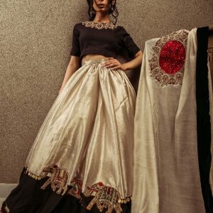 Regal lehanga , choli